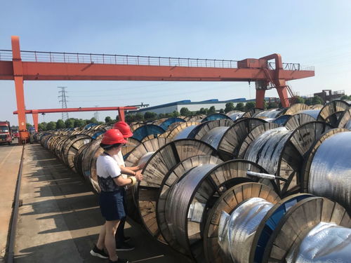 光纜鑄夢 不畏驕陽，C位出道
